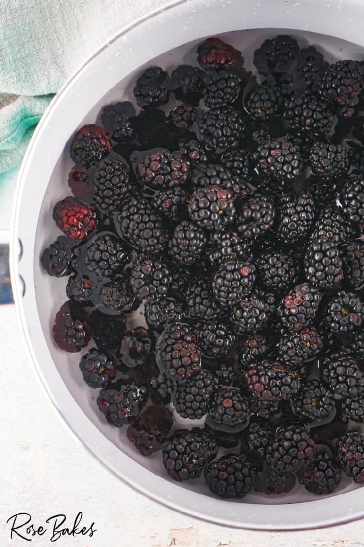 bowl of clean blackberries 