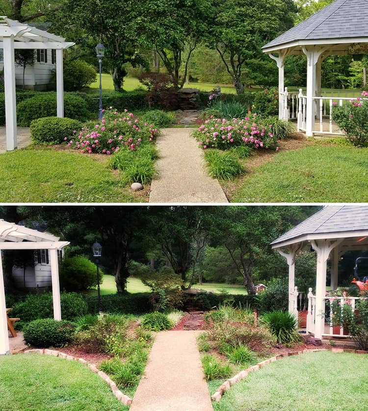 two pics of backyard with and without brick borders on flower beds