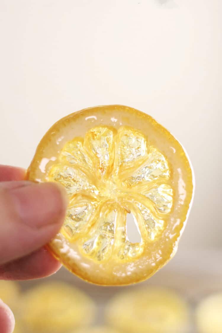 how to make easy candied lemons - hand holding candied lemon slice in front of a light