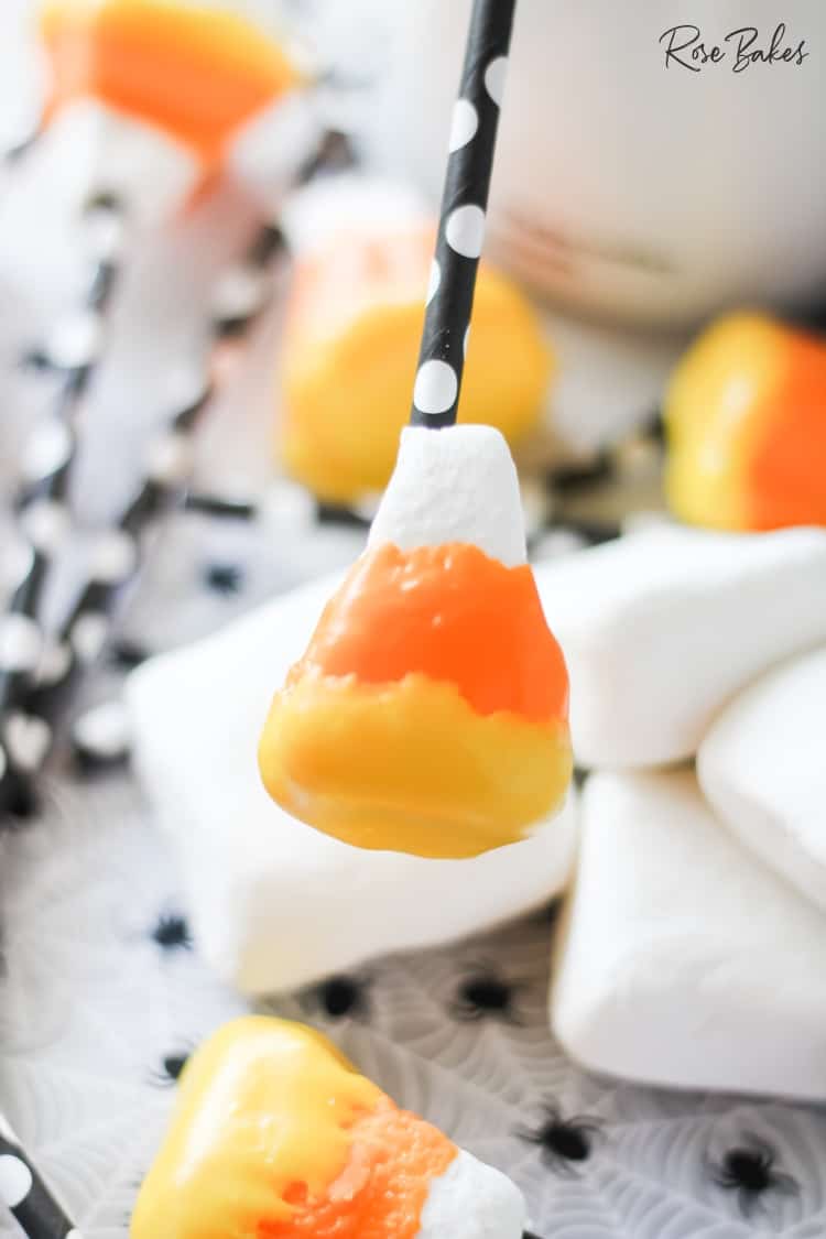 UP close view of the texture of candy corn marshmallow pop