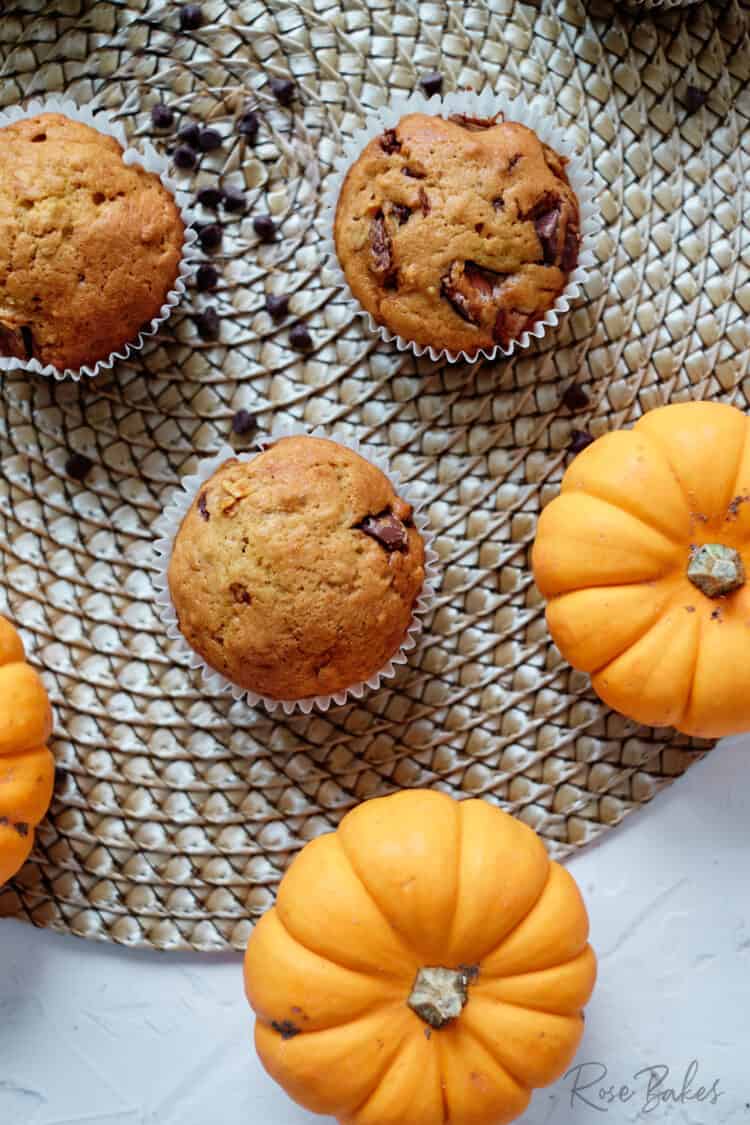 Top view of pumpkin chocolate chip muffins and mini orange pumpkins