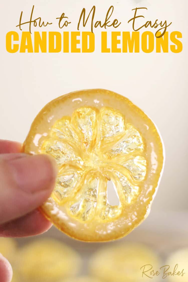 slice of candied lemon being held in front of a light