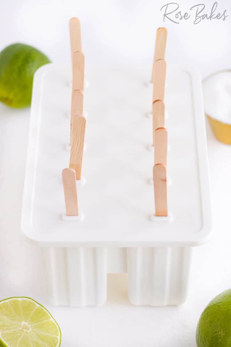 White popsicle mold with the lid on.  Wooden popsicle sticks are coming out of each hole that holds the stick in place to form the popsicle.
