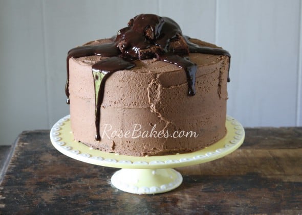 One Bowl Chocolate Cake with Brownies and Ganache