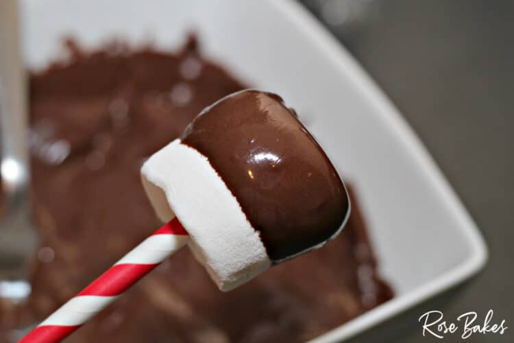 marshmallow dipped in chocolate